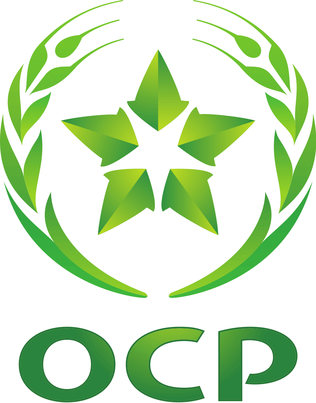 Logo OCP Group - Client référence QualiMet